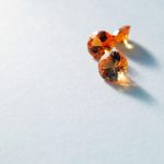 感想・体験談:スピリチュアル・ジュエリーセラピー001