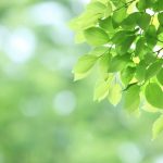 多少の胡散臭さがありながら挑みました^_^ インナーチャイルドセラピー001