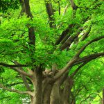 価値を伝えて、より良い未来を拓く4ステップ