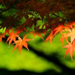 動きたいのに動けない時に、変化を導く方法