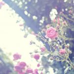 気分が上向く、うれしい瞬間を増やす方法