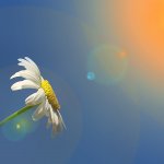 人生のターニングポイントを創る7日間実験をご一緒しませんか?