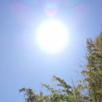 癒やしの光、ここにたどり着いたあなたに、良きことがありますように